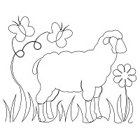 lamb border